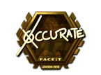 xccurate (Gold) | London 2018 image